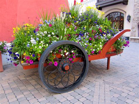 Youll Find These Wheelbarrows Filled To The Brim With Wildflowers All