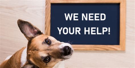 CORPORATE SUPPORT | rescue Warrington Animal Welfare
