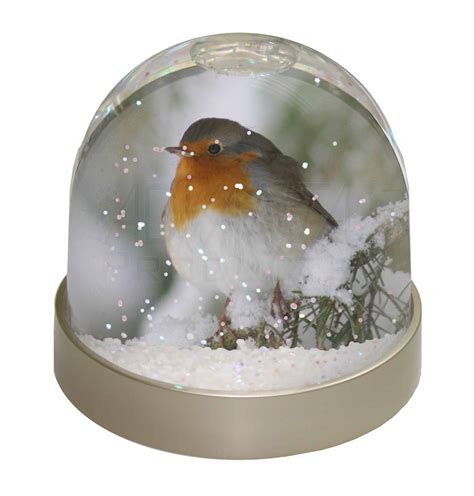 Robin Red Breast In Snow Tree Snow Dome Globe Waterball T