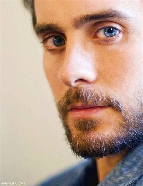 Blue Eyed Man With Brown Hair And A Beard Stares Directly