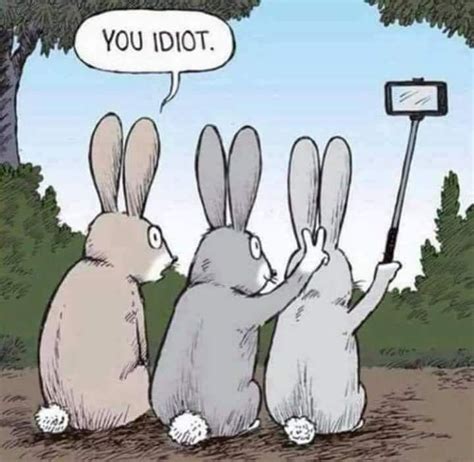 How Can A Bunny Do Bunny Ears On A Bunny 🤨 With Images Funny