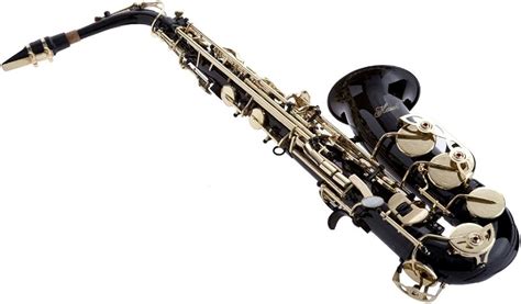 贈呈 Hawk Wd S416 Bk Student Alto Saxophone With Case Mouthpiece And