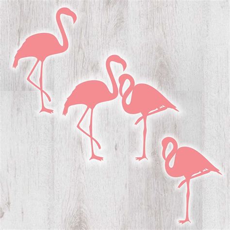 Flamingo Svg Pink Flamingo Svg Cricut Downloads Zoo Svg Etsy Tshirt