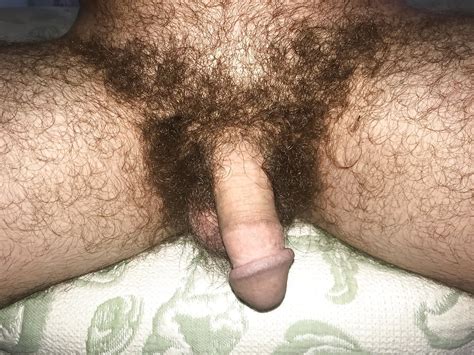 Very Hairy Penis