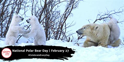 NATIONAL POLAR BEAR DAY February 27 National Day Calendar