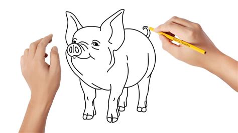 desenho de porco fácil Easy Drawings Dibujos Faciles Dessins