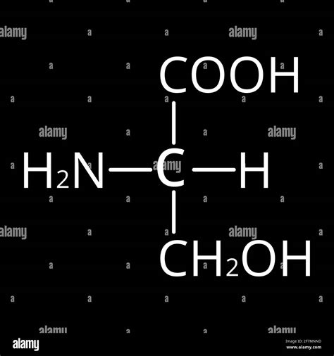 Serine Amino Acid Chemical Molecular Formula Serine Amino Acid Vector Illustration On Isolated