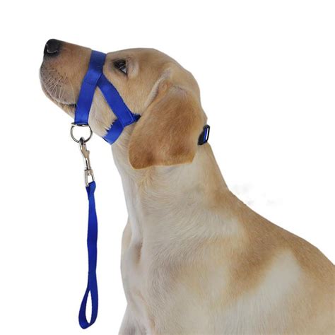 Gentle Dog Puppy Head Harness Leader No Pull Halter Halti Face Leash