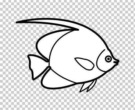 Fish Line Drawing Png