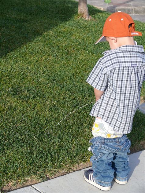 Peeing On The Grass The Way Of Life In A Little Boys Eyes Kreebee