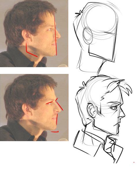 17 Drawing Reference Profile View Ideas Drawing Reference Drawing