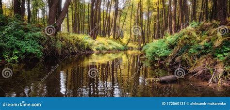 Fantasy Jungle Landscape Of Turquoise Tropical Lake In Mangrove Rain