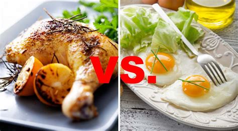 To ancient philosophers, the question about the first chicken or egg also evoked the questions of how life and the universe in general began. Chicken vs. Eggs: Which is the Better Protein? | Muscle ...