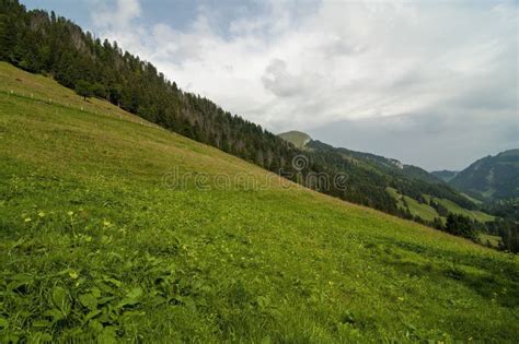 Meadows In The Alpine Slopes Stock Image Image Of Swiss Natural