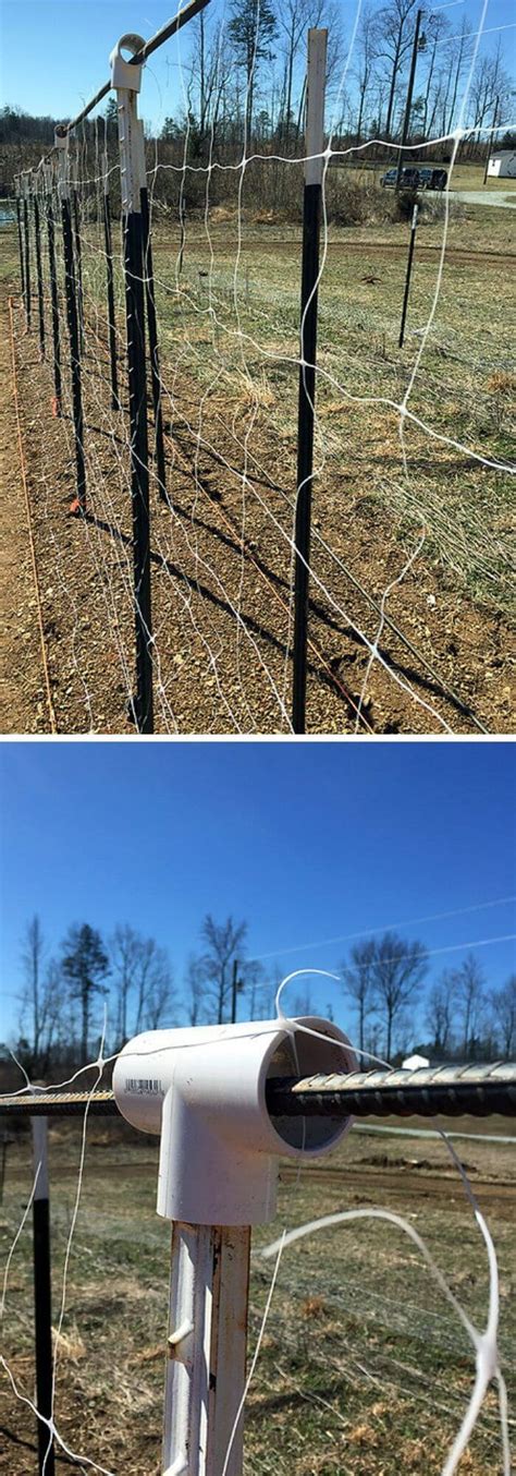 A trellis is a moveable fence with a crisscross pattern that can be bought from stores or even made at home. 15+ Brilliant DIY Pea Trellis Ideas & Designs For Your ...