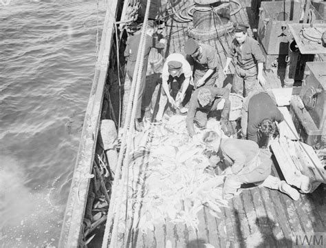 Minesweeper Men Go Fishing 4 And 5 May 1942 On Board Hmt Ohm The Men