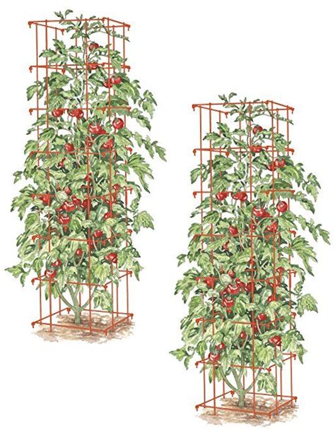 Square Heavy Gauge Extra Tall Tomato Cage Set Of 2 Red