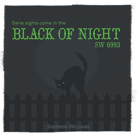 Sherwin Williams Paint Color Black Of Night Sw 6993 Sherwin