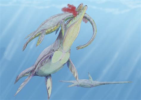 The habitat of kronosaurus most likely consisted of deep waters. Clash Of Aquatic Titans: Kronosaurus Vs Brygmophyseter ...