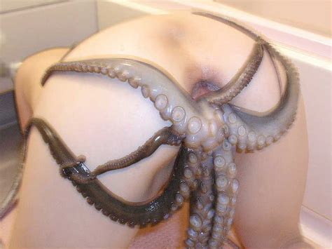 Asian Octopus In Pussy Telegraph
