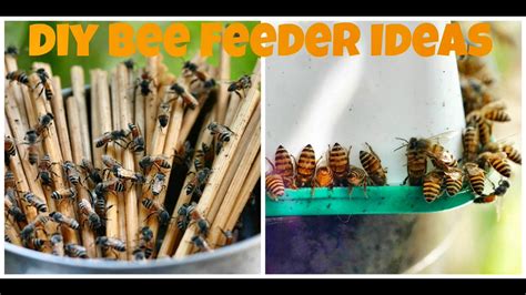 2 Simple Diy Bee Feeders How To Feed Starving Honey Bees Bee Frenzy