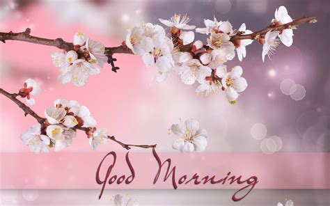 Good Morning Wishes Pictures Images Page 69