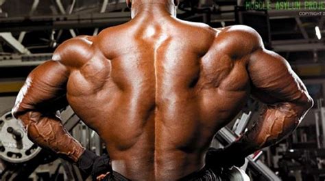 Want To Build Huge Back Muscles Here Are 4 Important Secrets