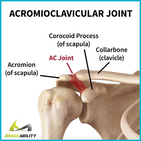 Acromioclavicular Joint Exercises