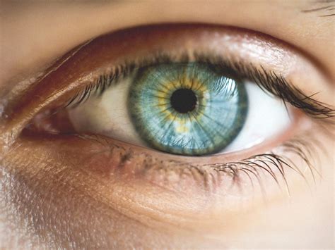 The whites of your eyes turn yellow when you have jaundice. Central Heterochromia: Definition, Causes, and Types