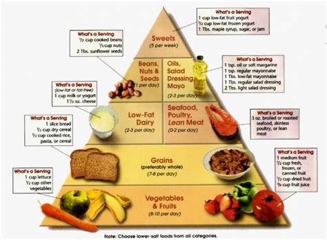 Food Pyramid Diabetes And Gestational Diabetes