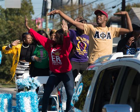 Nine Of The Best Black Greek Strolls We've Seen From The Divine Nine