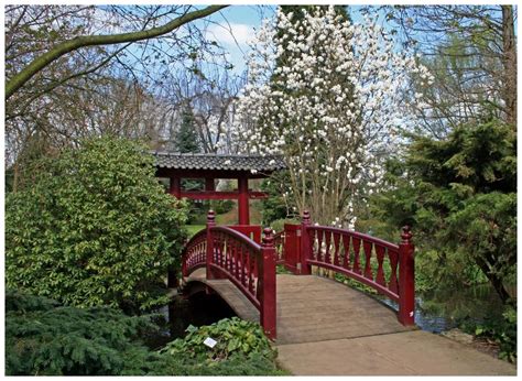 Die alte brücke im garten ist verfaut. Brücke im japanischen Garten der BAYER AG in Leverkusen ...