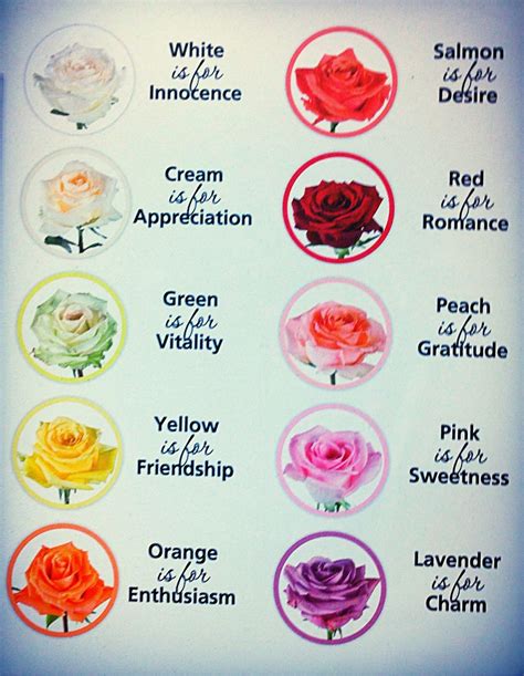 Flower Color Meanings Chart