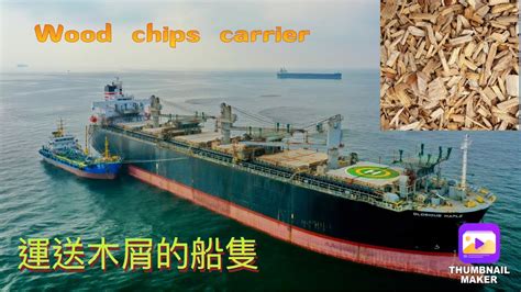 《海岸偵察隊》wood Chips Carrier 還沒有機會見到它們是如何上貨落貨。但似乎香港是一個頗受歡迎的加油港口！ Youtube