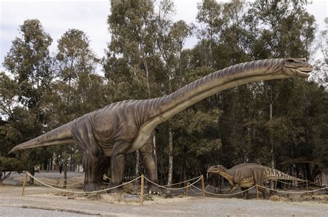 Tierra De Dinos Argentinosaurus Huinculensis Ministerio De Ciencia