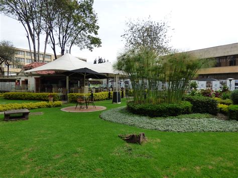 Capital cocina y cafe, bogota: Plaza Café | Restaurantes bogota, Restaurantes