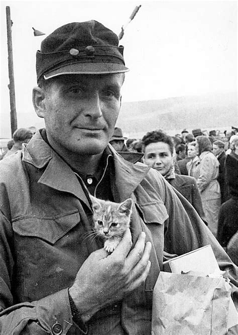 A German prisoner of war with a kitten returns home from a ...