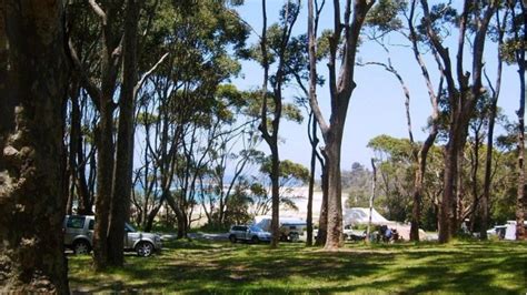 Beach Camping In Nsw 12 Spots Right On The Water Ellaslist