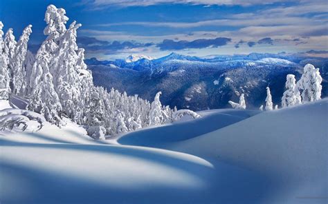 Montanhas árvores Neve Inverno Cenário Da Natureza Papéis De Parede