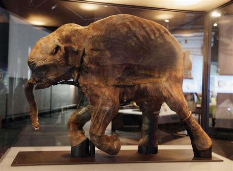 Mammoth Definition Size Height Picture And Facts Britannica