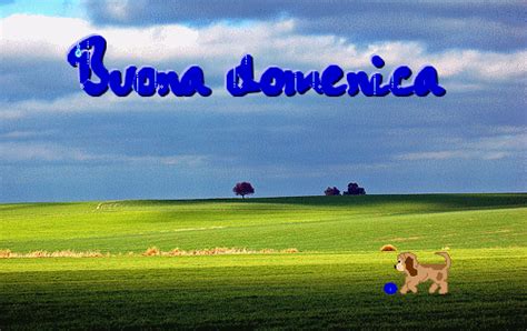 Incontra Gay A Treviso Domattina Domattina 3006 Ospito