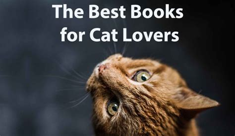 The Ultimate Guide To The Best Books For Cat Lovers Find Your Perfect