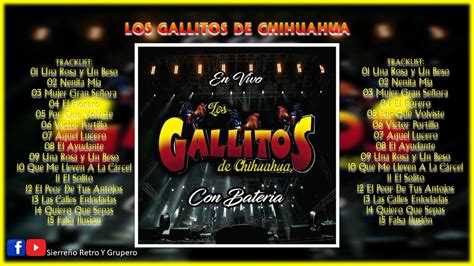 Los Gallitos De Chihuahua En Vivo Con Batería Disco En Vivo Youtube