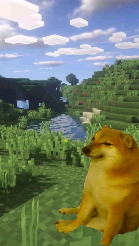 Pin By 🍜 On Wallpaper Minecraft Wallpaper Doge Meme Minecraft Dogs