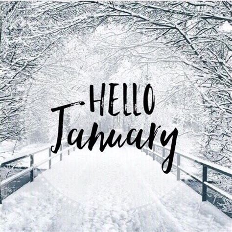 Tinywhitedaisies With Images Hello January Hello January Quotes