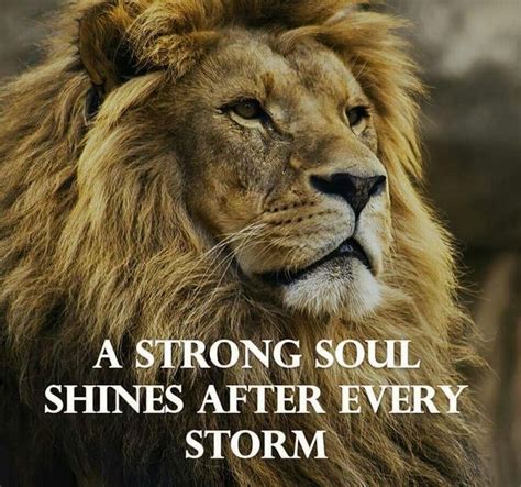 Pin By Jacilyn Bruns On Fierce Lion Quotes Warrior Quotes Storm Quotes