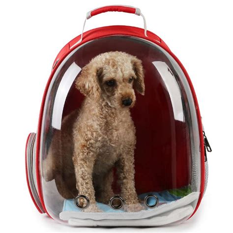 Shop with afterpay on eligible items. 2019 Breathable Small Pet Carrier Bag Clear Cat Backpack ...