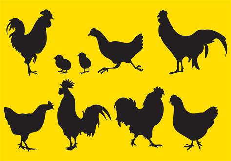 Download Rooster Silhouette Vectors - Download Free Vectors ...
