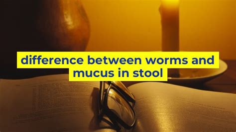 Difference Between Worms And Mucus In Stool Sinaumedia My Xxx Hot Girl