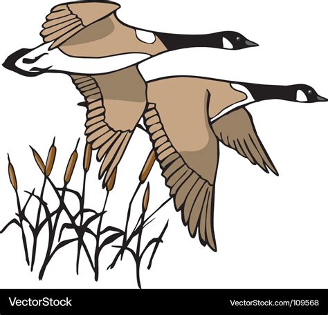 Geese In Flight Royalty Free Vector Image Vectorstock